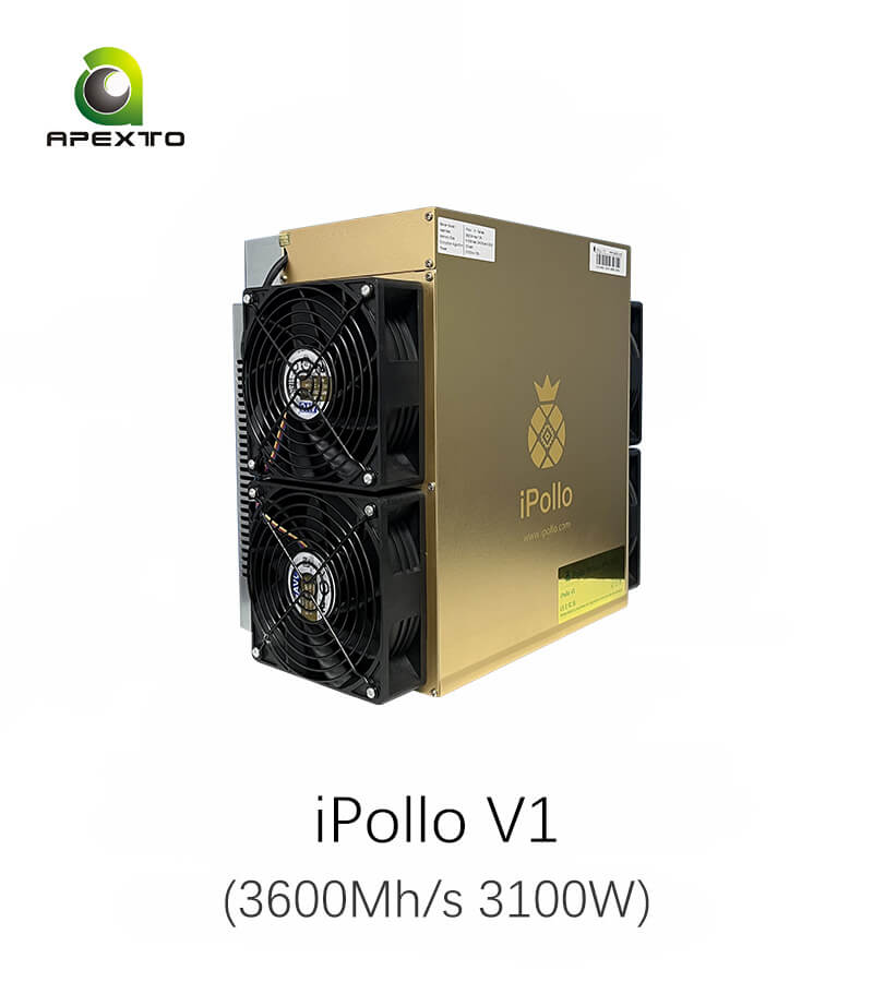 iPollo V1 iPollo V1