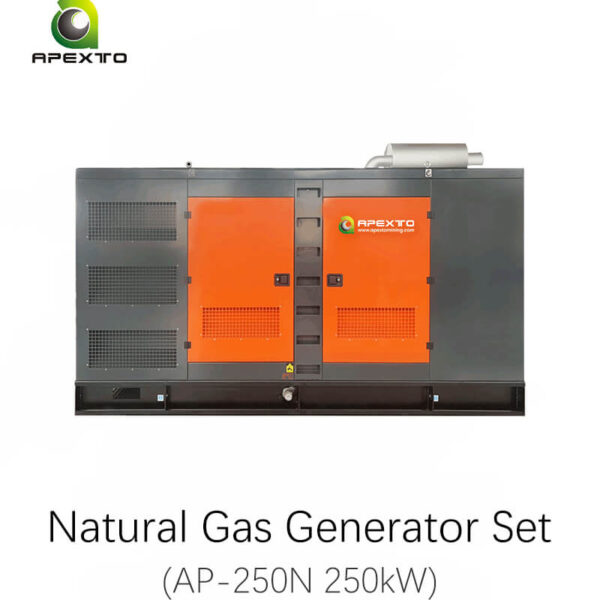 Natural Gas Generator Set AP-250N