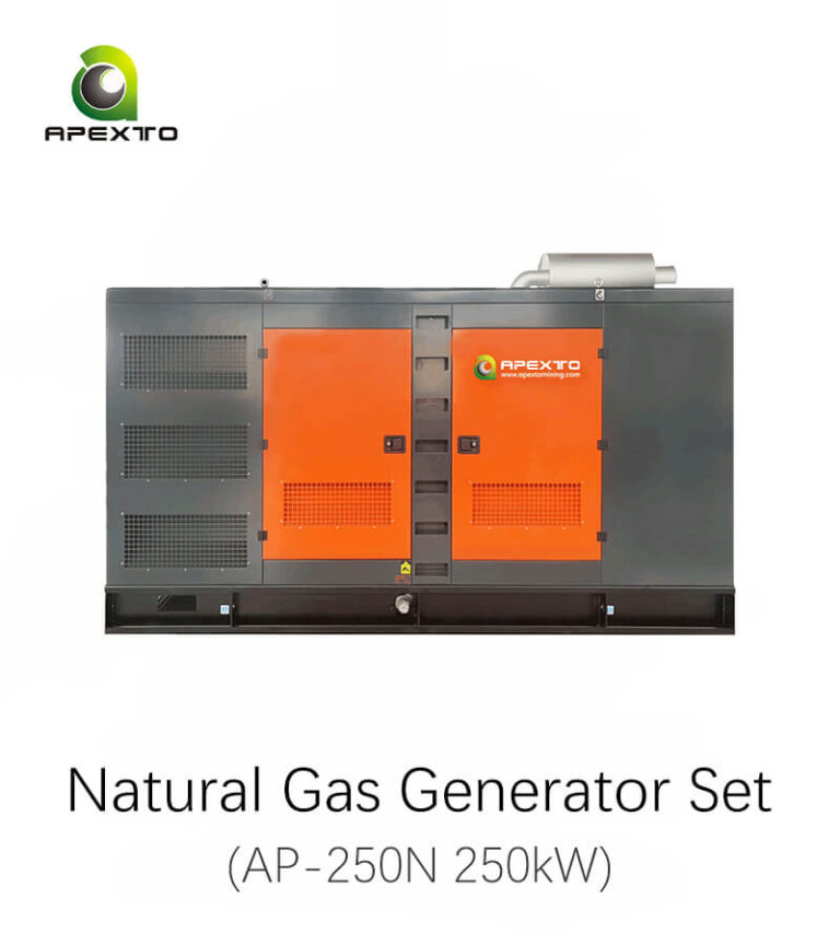 Natural Gas Generator Set AP-250N