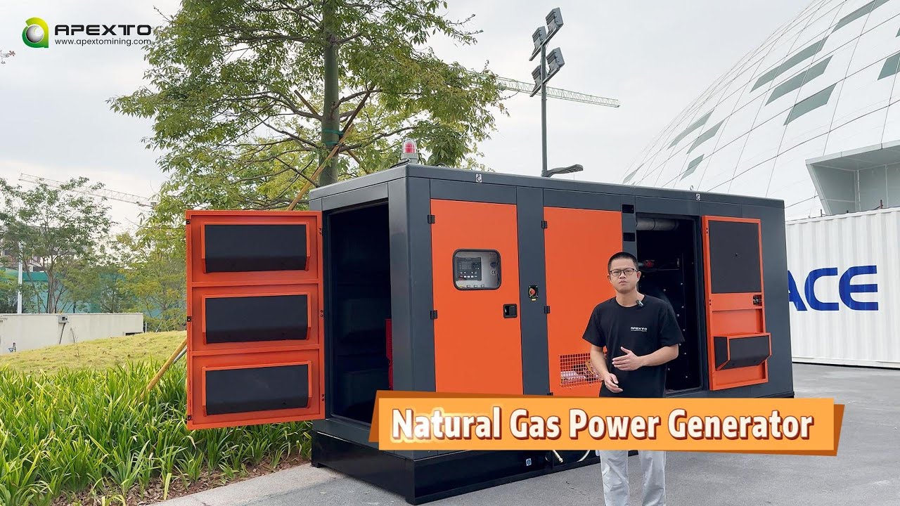 Natural Gas Generator Set AP-250N - Apexto Mining