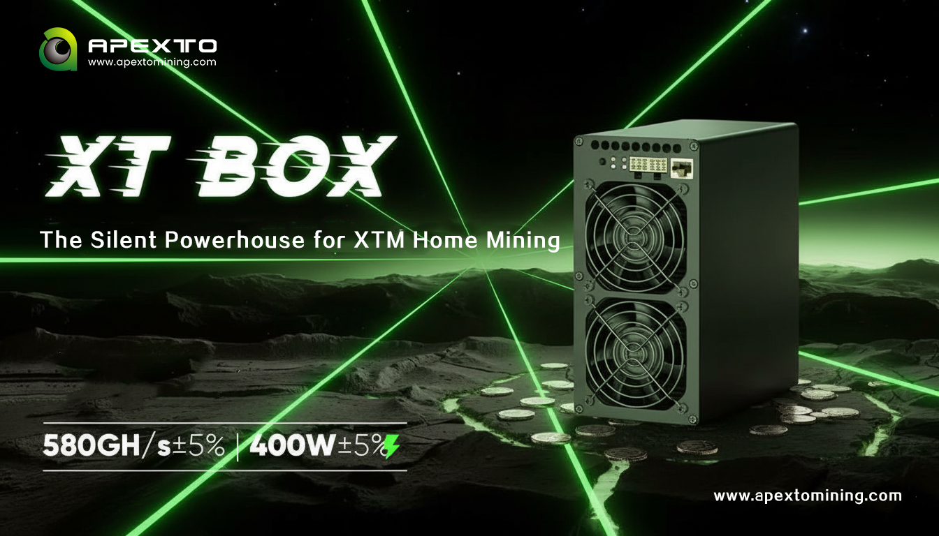 XT BOX