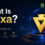 what is Nexa？
